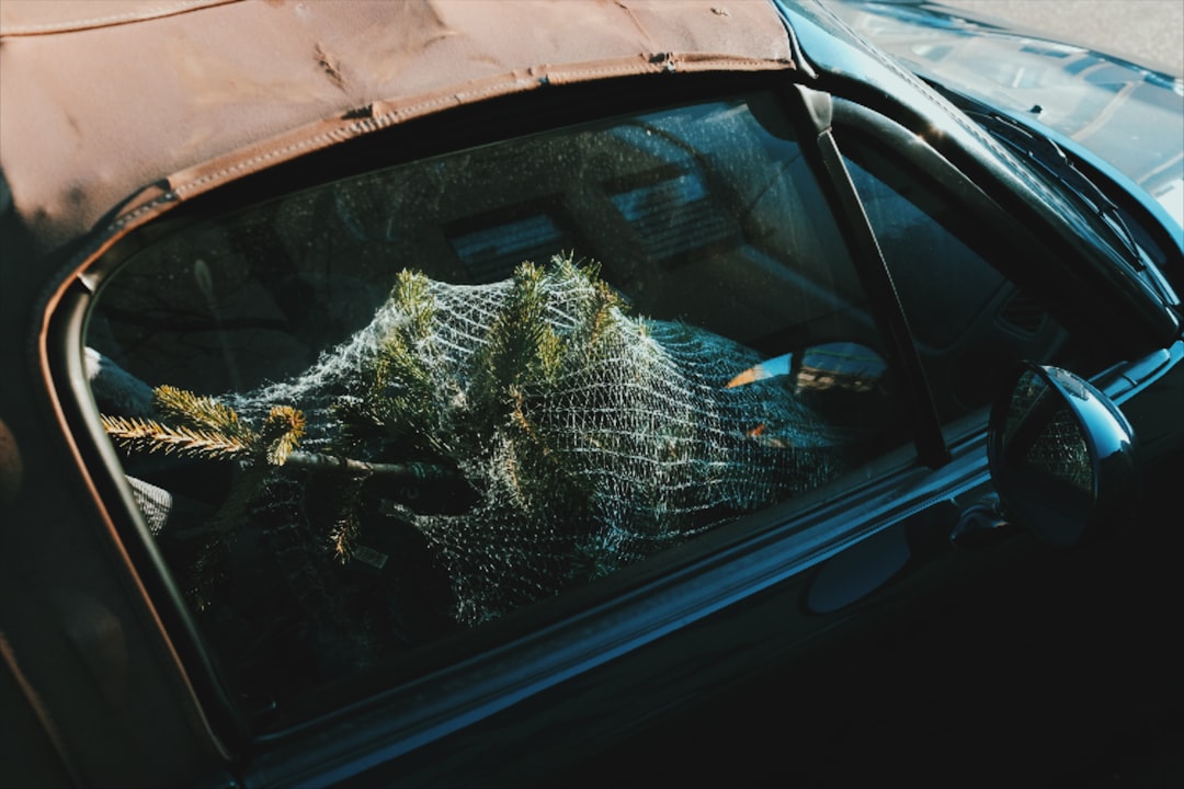 Photo Christmas vacation